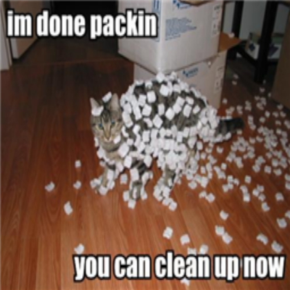 Funny Cat Roblox decal