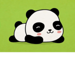 THE PANDA’$