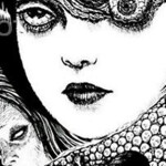 ✧