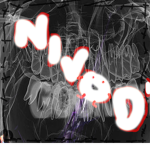 NIVOD¹