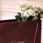 ✧･ﾟ: *✧･ﾟ:*