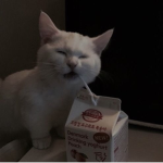 Yeosin Energy