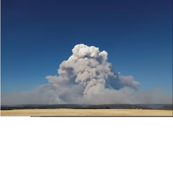 CALFIRE [Airport exstantion]