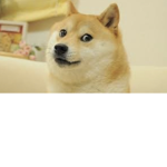 Dogefry