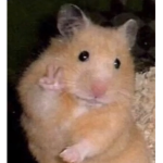 CARTEL_DE_LAS_BBYS_CDB
