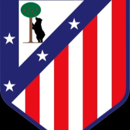 Atletico Madrid Training Ground | SRL