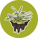 caption=Badge
