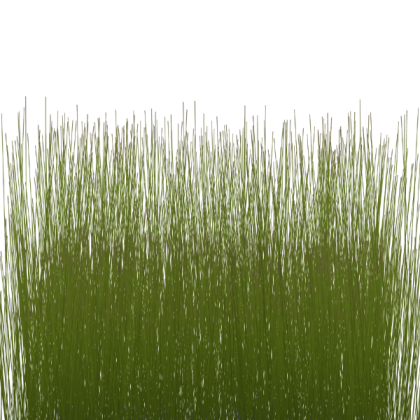 Tall grass - Transparent Roblox decal