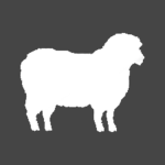 Sheep Interactive