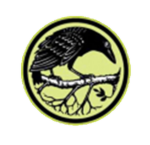 Ravens