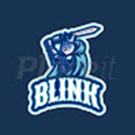 Blink group