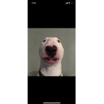 Gayza