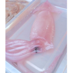 Squid tactic moral tentacle