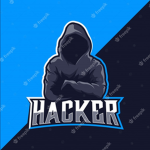 The_Pro_Hackers