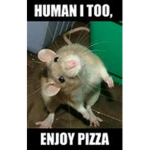 YourLocalRats