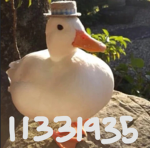 Quack Central