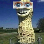 "THE PEANUT CULT"