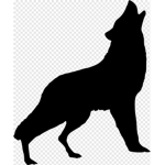 WoLfE pAcKs