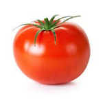 grupo tomate