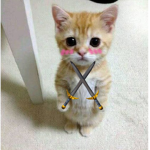 clan meow meow