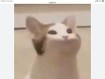 Popcat games:3