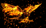 FIRE CLAN TOUCH FOOTBALL