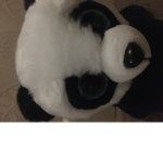 Pandalover1512