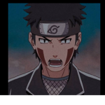 Fans de kiba :)