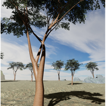 Empty Plains