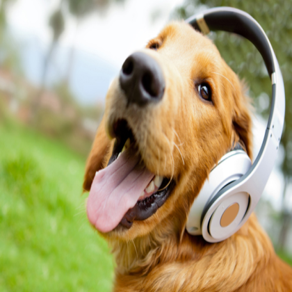 dog Roblox decal