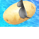 The aesthetic potato’s!