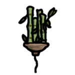 Bamboo Balloon