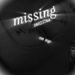 ャ Missing