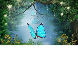 peacful world
