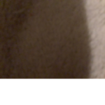 Im a pigggo fan