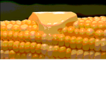 It’s corn a big lump with knobs