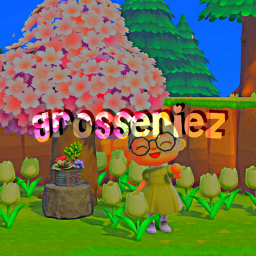 Aesthetic Homestore