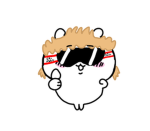ski aggu partei
