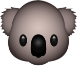 Team Koala Offical