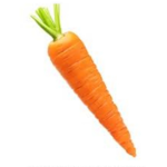 The carrot colt