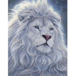Lion Clothings