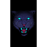 Panthers group