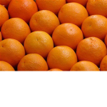 The Orange Tribe