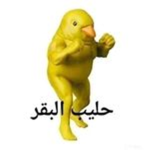 FreeGamerss