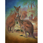 |~∆•Kangaroo Squad•∆~|