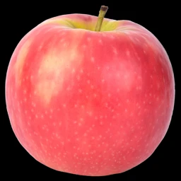 A Camping Game. (RolePlay) icon