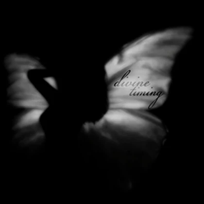 DivineTiming Roblox group icon