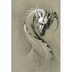 Elemental dragon force