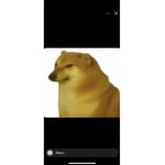 Sillygoose456