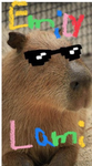 Capybara und lami Fan Gruppe